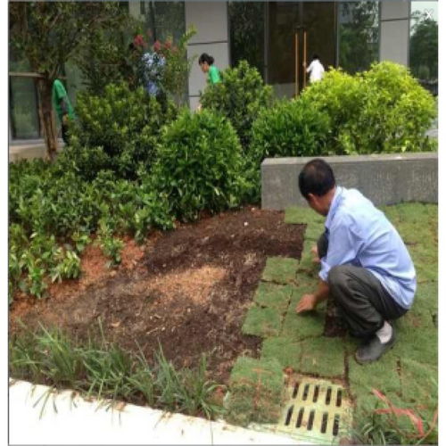 沙溪鎮(zhèn)園林綠化工程施工與養(yǎng)護