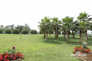 成都園林綠化養(yǎng)護修剪施工方案及操作規(guī)范