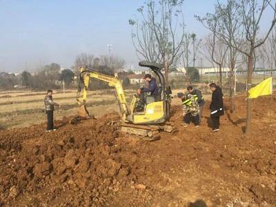 元旦前，應(yīng)城再添靚麗綠化節(jié)點(diǎn)，守護(hù)文物文化遺址