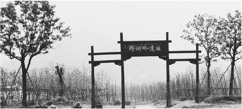 跨湖橋的前世今生——云課堂蕭蕭講地名與遺址保護(hù)